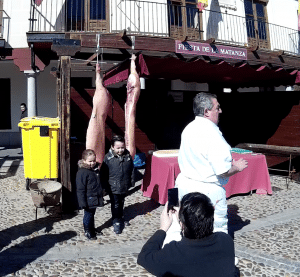 Especismo - Foto con cerdo de fondo