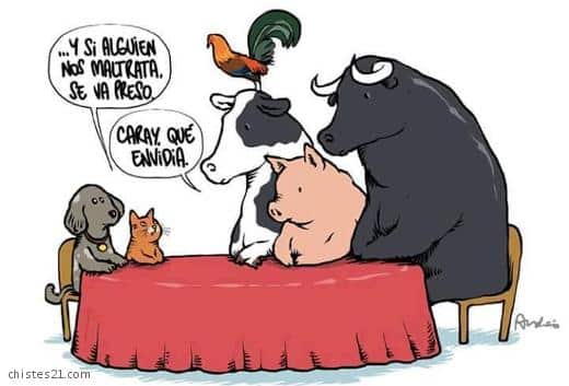 Caray que envidia. Especismo