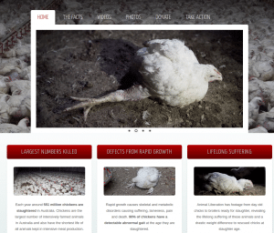 Gallinas Aussie Farms