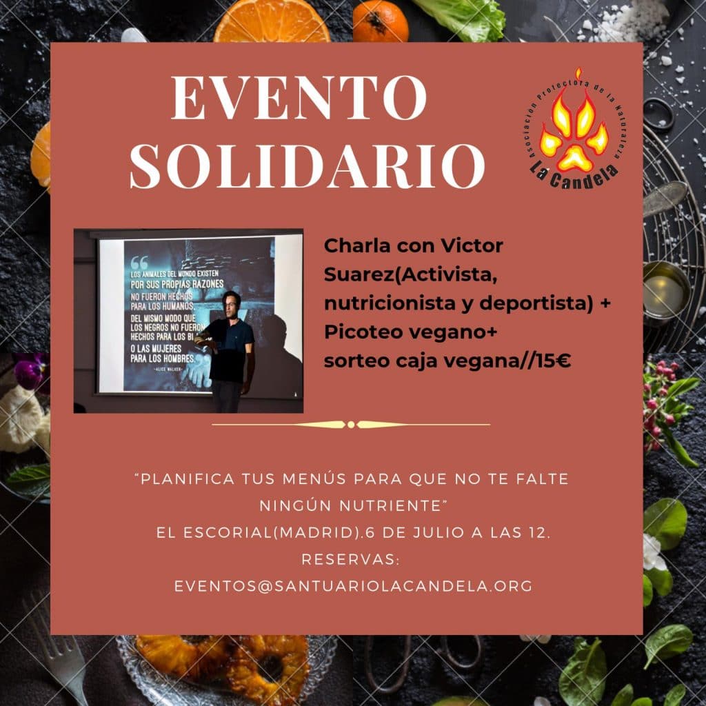 Cartel Escorial 9 julio 2019. Conferencia Victor Suarez